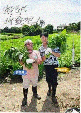 综艺现场类贴纸的舞台画面